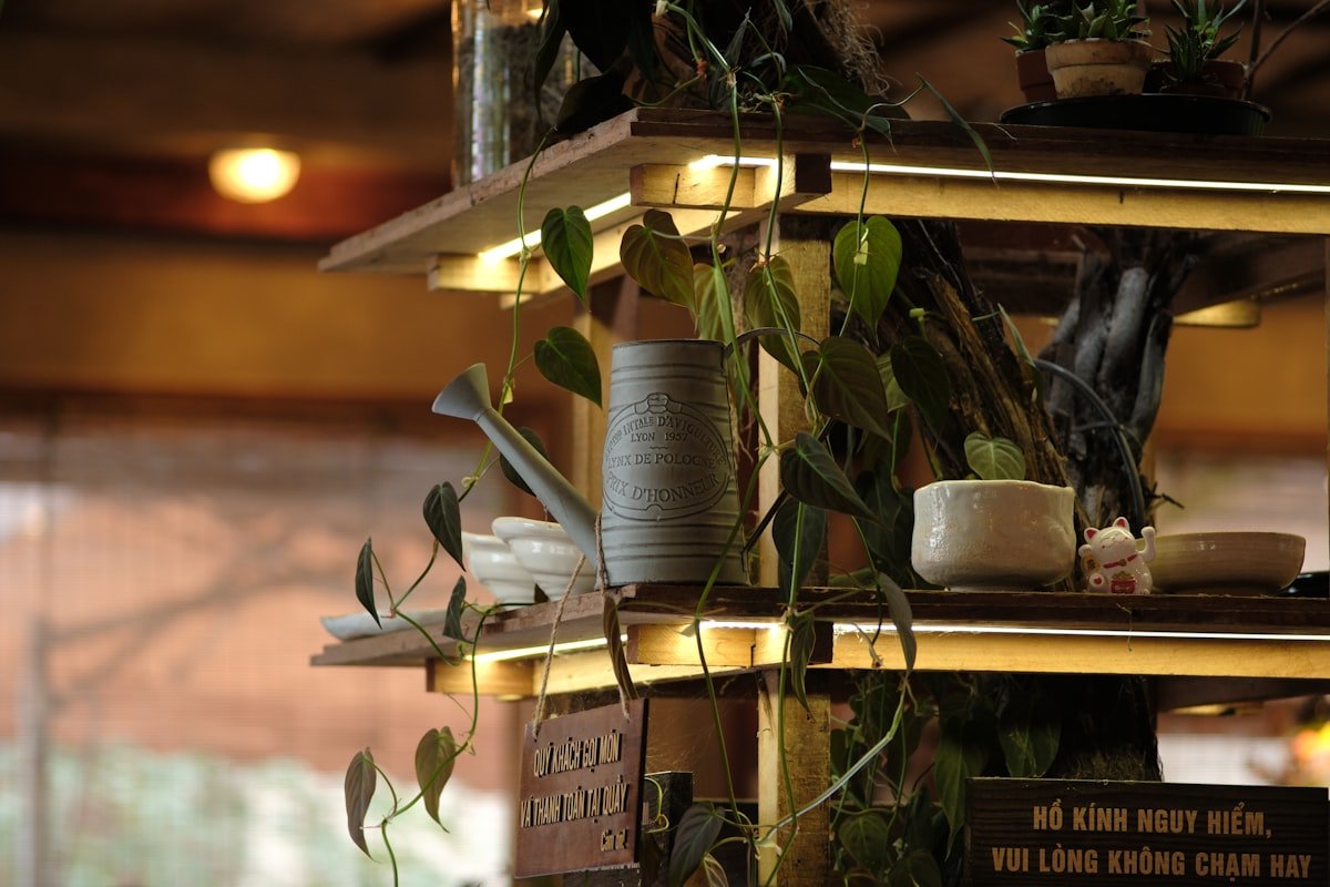 Open shelving styled with olive green plants, pots and ceramics as small decor accents