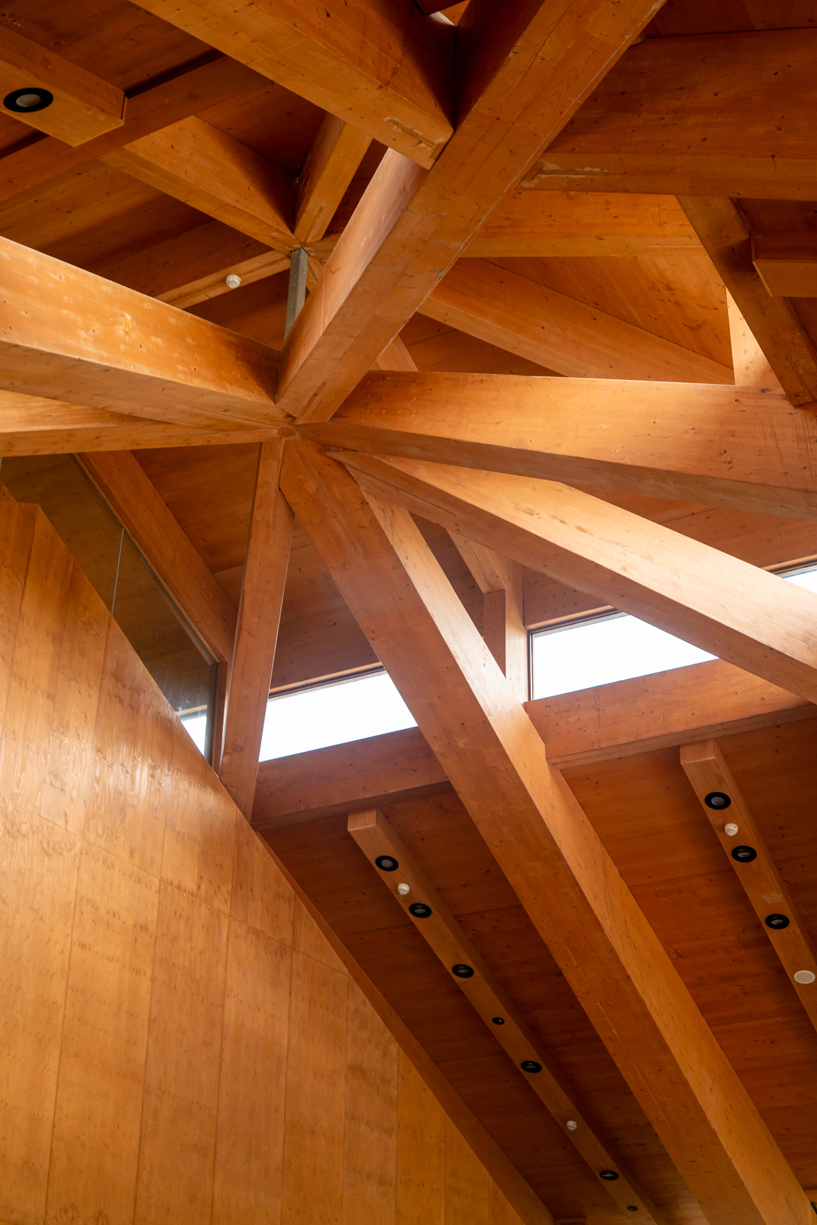 Geometric timber beams forming a sculptural ceiling pattern with daylight between the structure
